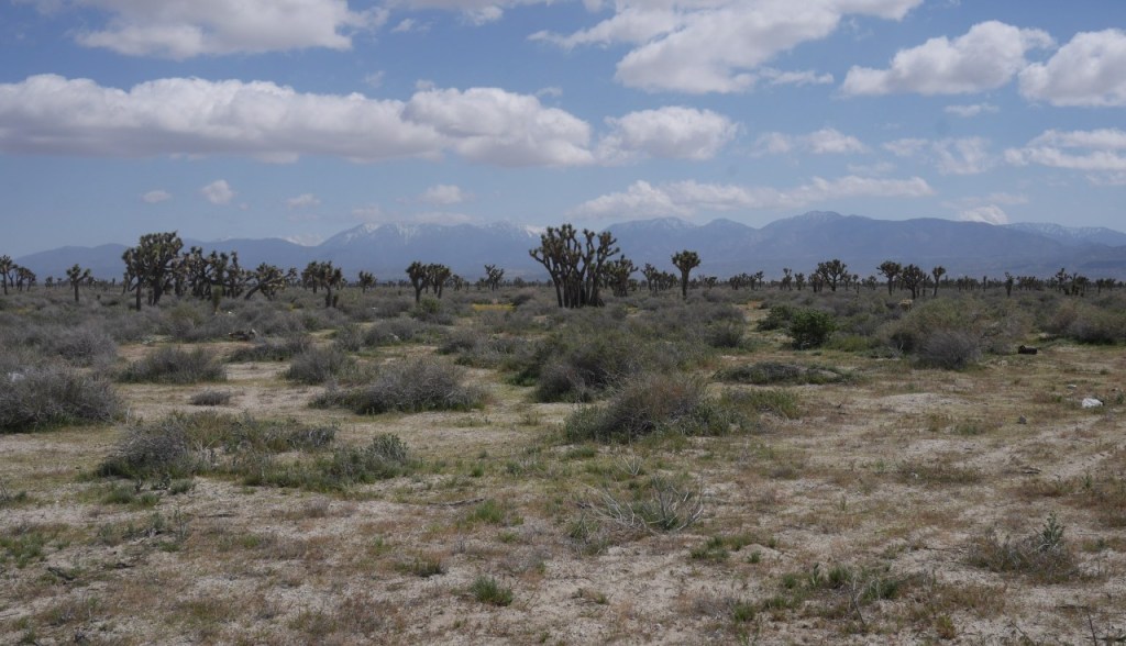 Caltrans Cancels High Desert Freeway Project