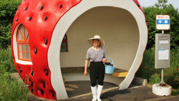 How Can We Make Sustainable Transportation More Fun?