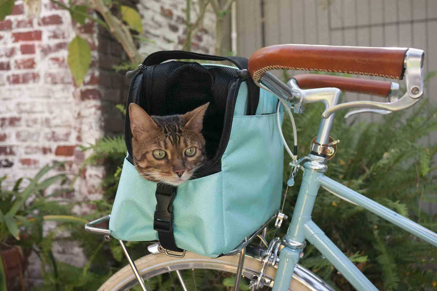 Via Travel With Kitties.