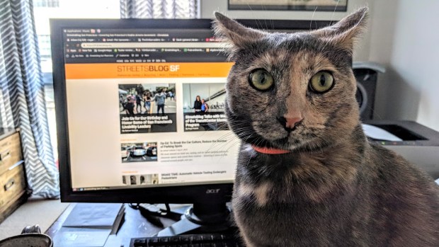 Should SF Make 60% ‘Work from Home’ Permanently?