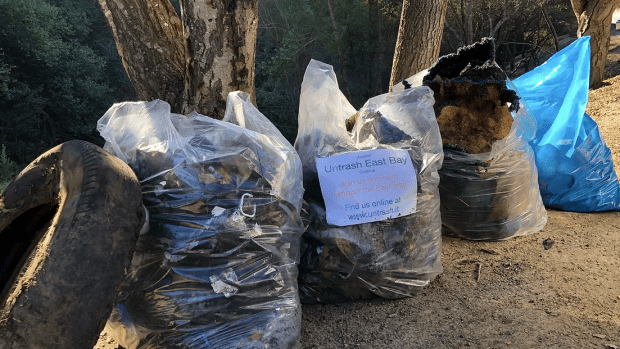 Untrashing the Planet, One Corner at a Time