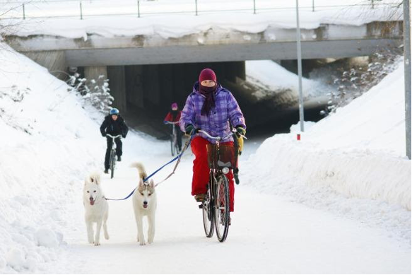 How the Dutch Do Winter Bike Lane Maintenance
