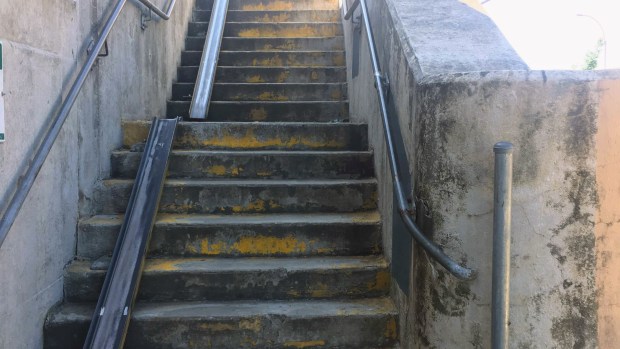 OPINION: New York Needs a ‘Disability’ Agenda