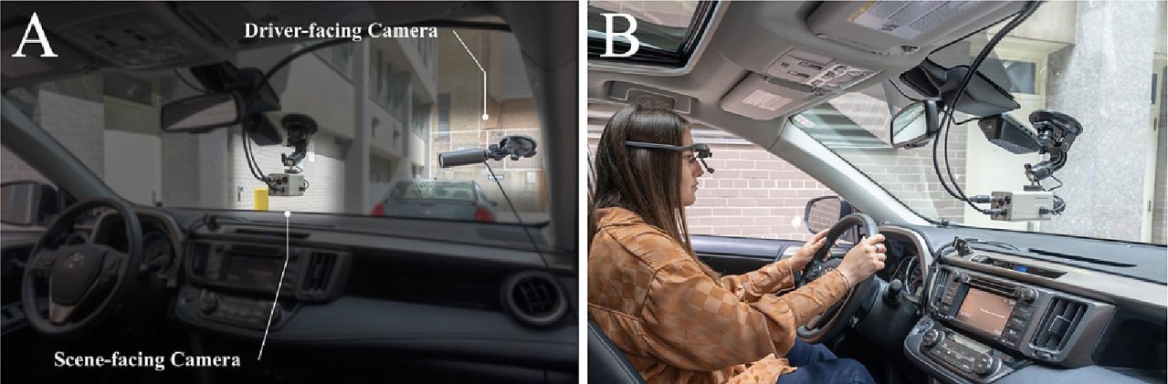 How drivers and cars were studied.