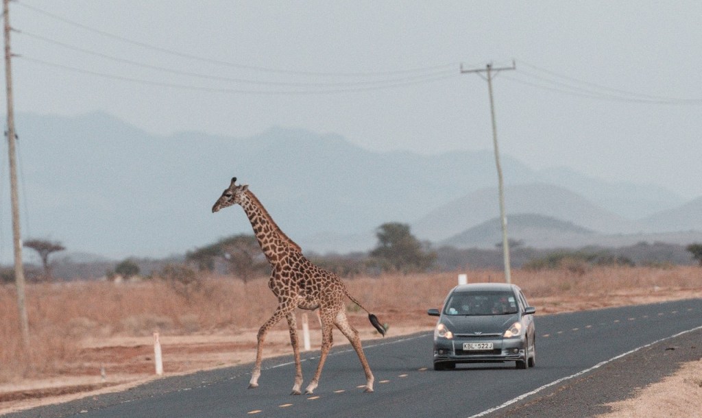 Monday’s Headlines Are Roadkill