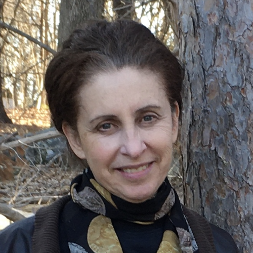 Ann Sussman