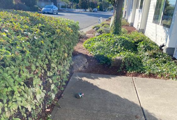 Week Without Driving Day 2: Where the Sidewalk Ends