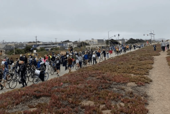 In S.F., Local Results Contrast Chilling National Election