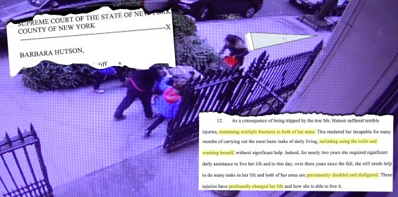 Here’s Why Your Dead Christmas Tree Should Be in the Road, Not on the Sidewalk